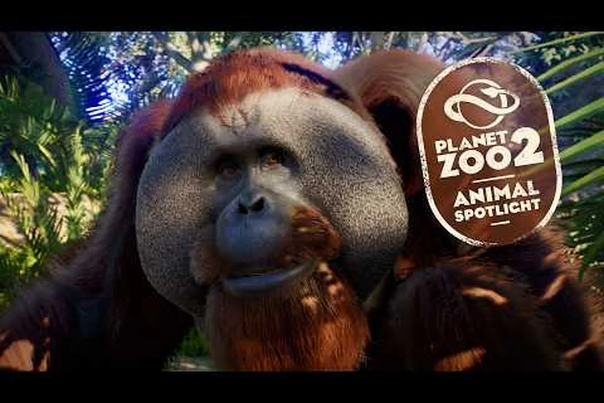 Planet Zoo 2 Tierliste aller Tiere: Alle 130+ Arten & neue Ergänzungen