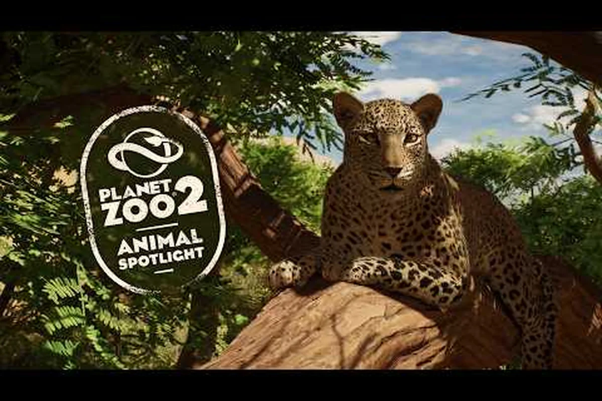 Planet Zoo 2 Tierlebensdauer: Altern, Forschung & seltene Morphen