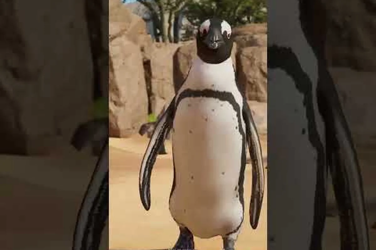 Planet Zoo 2 Tierregister-Leitfaden: Jede Art in der Zoopedia