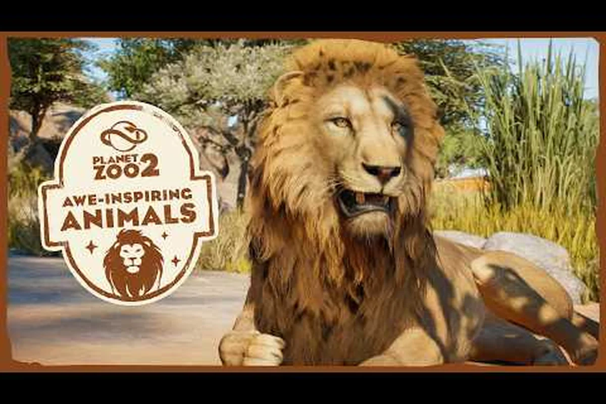 Planet Zoo 2 Tierbeschäftigung: Spielzeug, Herdenverhalten & Verhalten