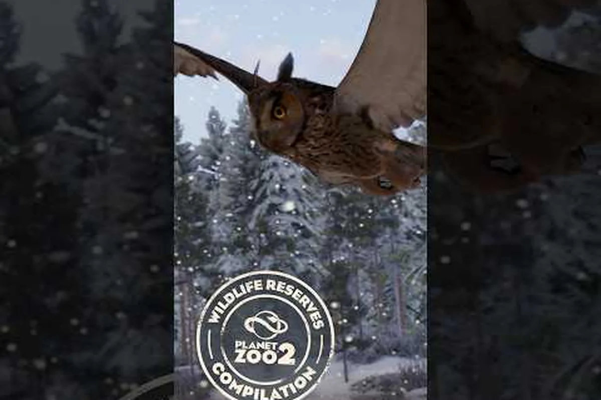 Planet Zoo 2 Tiere auswildern: Reservat-Freilassung & Bildungstipps