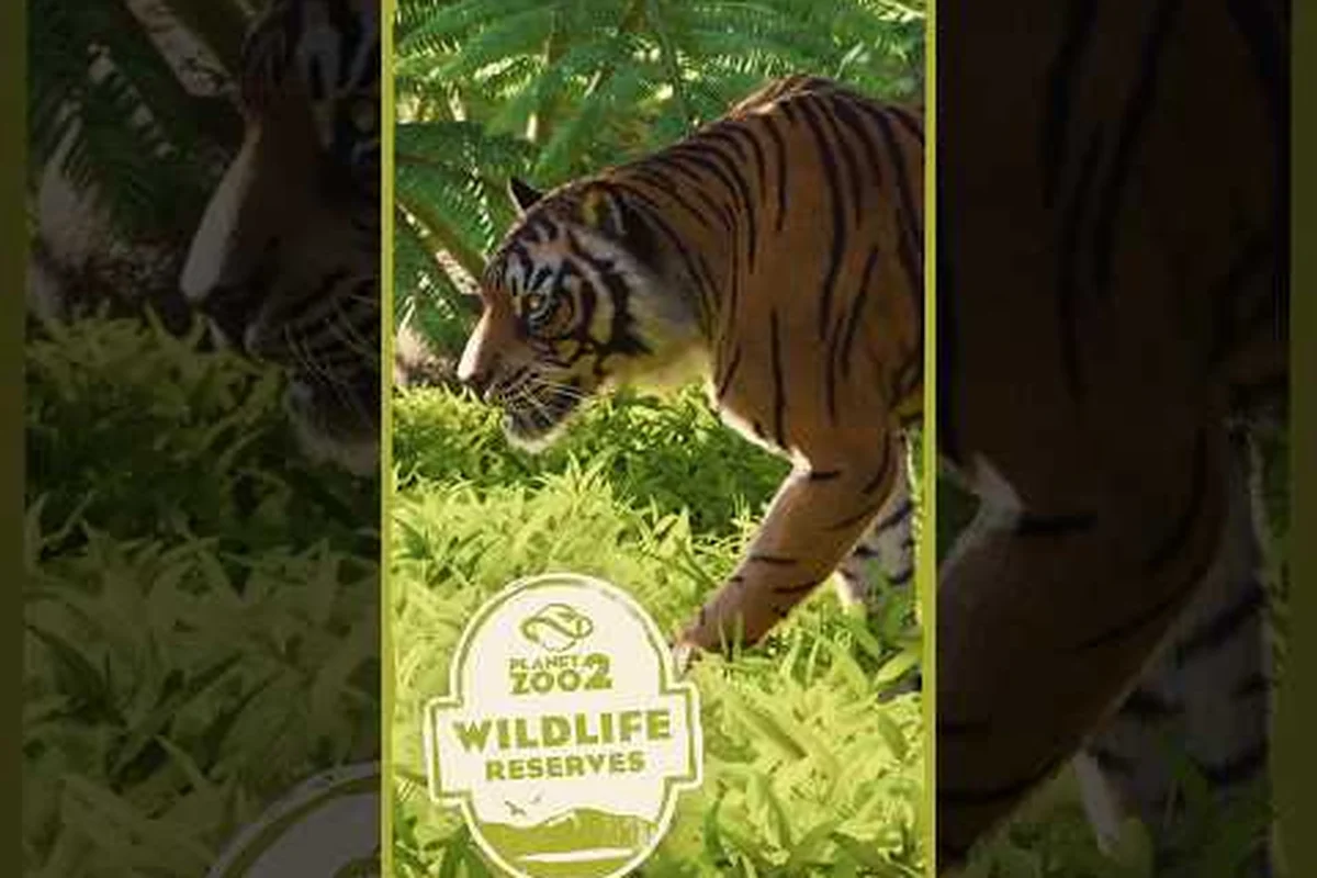 Planet Zoo 2 Wildtierreservat: Bauen & Schutzgutschriften verdienen