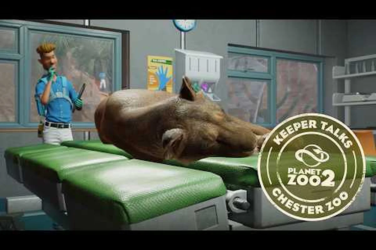 Guía de personal de Planet Zoo 2: instalaciones, investigación y acreditación