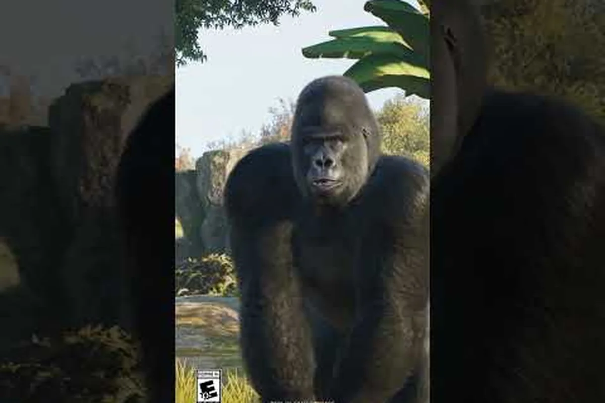 Planet Zoo 2 Gruppenbearbeitung: Löschen, Rückgängig, Wiederherstellen und Umgebungswerkzeuge