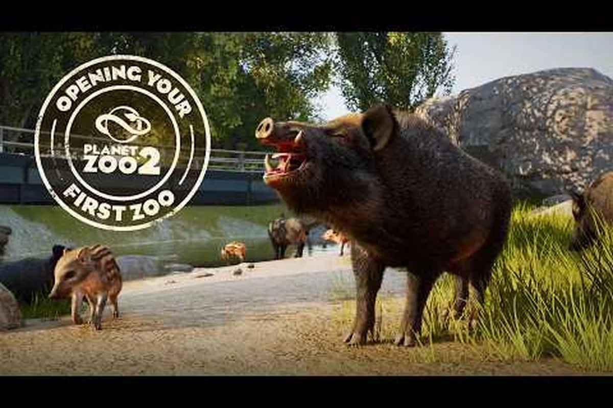 Planet Zoo 2: So startest du einen Zoo – vom ersten Tag bis zum Gewinn
