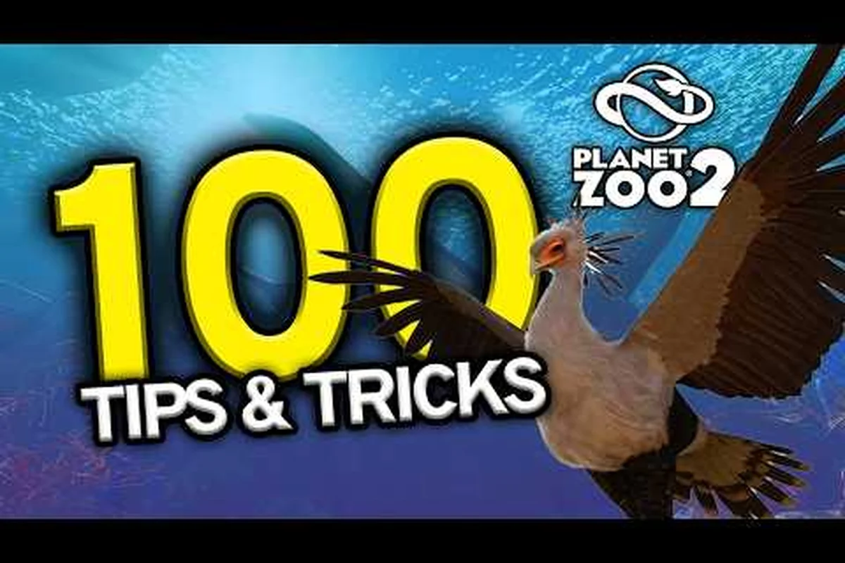 Planet Zoo 2 Einsteiger-Guide: Erste Schritte zu einem florierenden Zoo